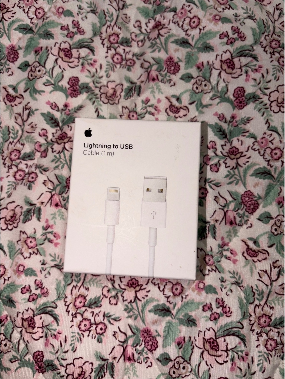 Apple Lightning to USB Cable (1m)
